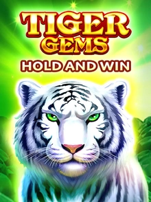 Tiger Gems: Hold and Win	