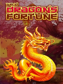 Wild Dragon’s Fortune